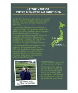 Thé Sencha Gingembre BIO, 18&nbsp;sachets